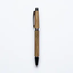 Fountain pen