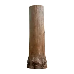 Kauri trunk