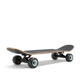 Electric skateboard
