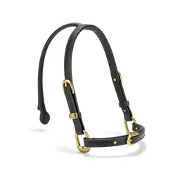 Bridle with brass fittings