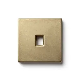 Mortise lock plate