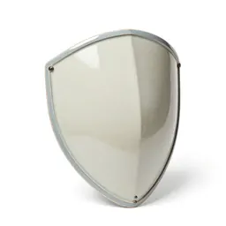 Kite shield