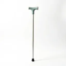 Walking cane