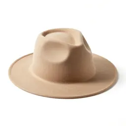 Wide-brim felt hat