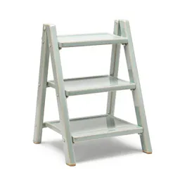 Ladder shelf