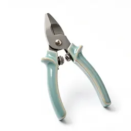 Pair of secateurs