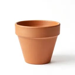 Terracotta plant pot