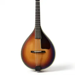 Mandolin