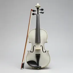 Violin with a bow