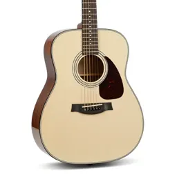 Acoustic guitar