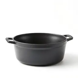 Cast iron dutch oven
