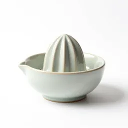 Citrus juicer