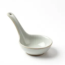 Soup ladle