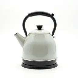 Electric kettle