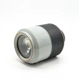 Projector lamp