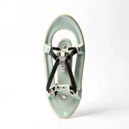 Snow shoe