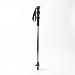 Trekking pole