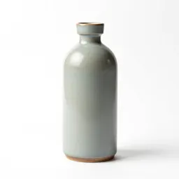 Water filter bottle