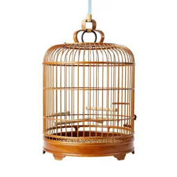 Bird cage with perches