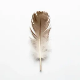 Feather wand toy