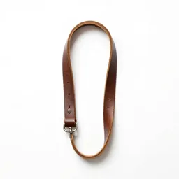 Leather dog lead