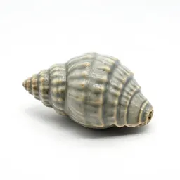 Fossil trilobite
