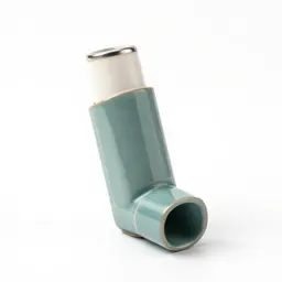 Inhaler