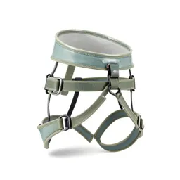 Climbing harness