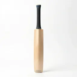 Cricket bat