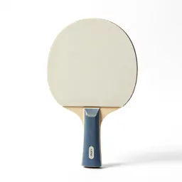 Table tennis paddle