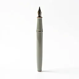 Calligraphy dip pen with nibs