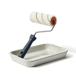 Paint roller and tray
