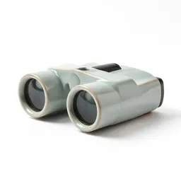 Stereoscope viewer