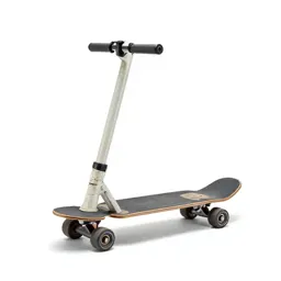 Electric skateboard
