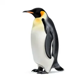 Emperor penguin with a chick
