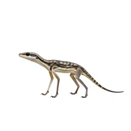 Six-legged desert strider