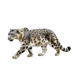 Snow leopard mid-prowl