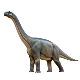 Brachiosaurus reaching upward