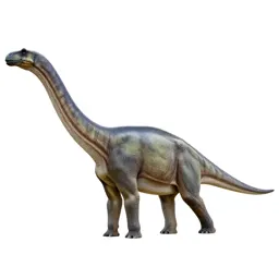 Diplodocus