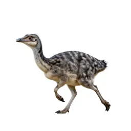 Gallimimus running