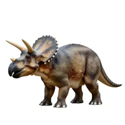 Triceratops