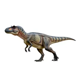 Allosaurus