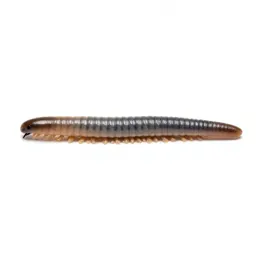 Earthworm in soil