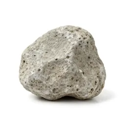 Chunk of pumice