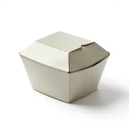 Folded takeaway noodle box