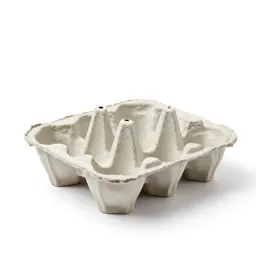 Moulded pulp egg carton