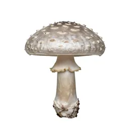 Fly agaric mushroom