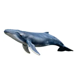 Blue whale
