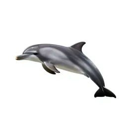 Dolphin mid-leap