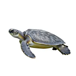 Leatherback turtle